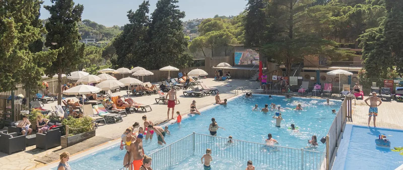 Het zwembad van de camping met ligstoelen en parasols, omringd door hoge pijnbomen