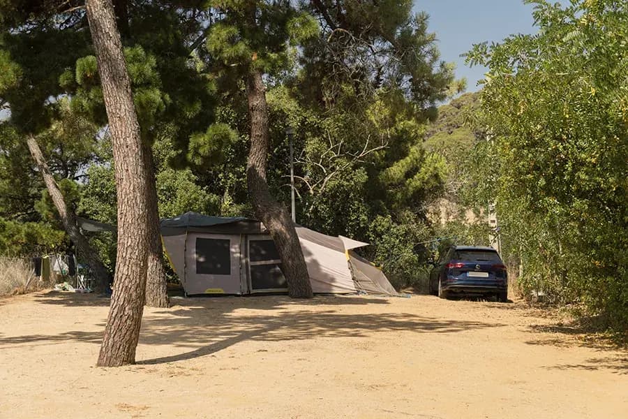 Een tent en een auto op een zanderige plaats in de schaduw van hoge pijnbomen